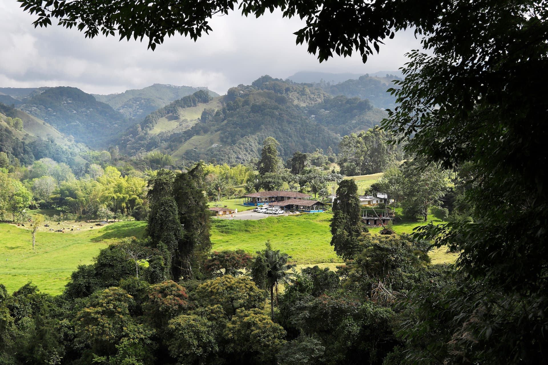 El Rancho Salento El Rancho de Salento